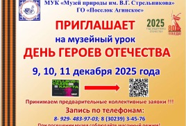 Музейный урок "День Героев Отечества"