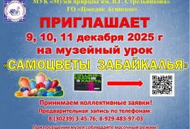 Музейный урок "Самоцветы Забайкалья"