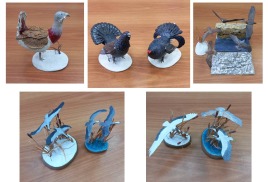 Выставка Виталия Опалева 