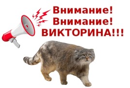 Итоги интернет-викторины "Дикий кот Забайкалья"