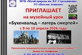 Музейный урок "Бухенвальд - лагерь смертей"