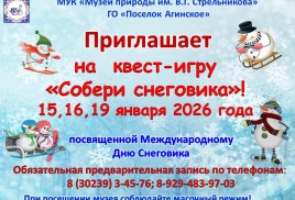 Квест-игра "День снеговика"