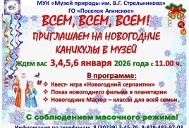 Новогодние каникулы в музее