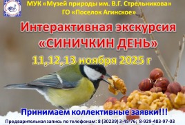 Интерактивная экскурсия "Синичкин день"